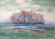 oaw020fantasticlandscape_small.jpg