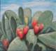 oaw031pricklypearfichidindia_small.jpg