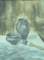 oaw059stilllifewithromanianceramicsfrommarginea_small.jpg