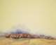 oaw062fantasticlandscape_small.jpg