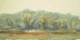 oaw063forestinsummer_small.jpg