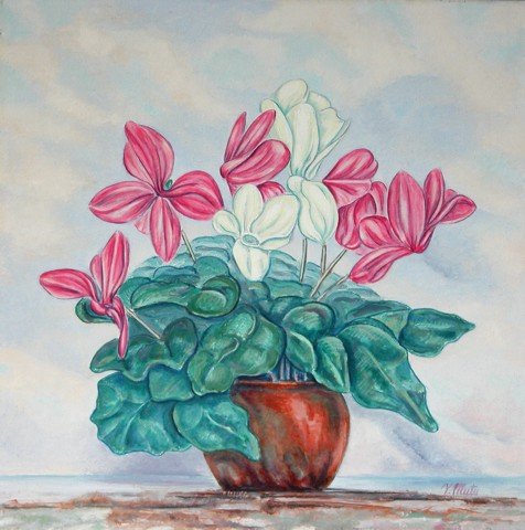 sw029thecyclamen.jpg